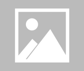 okooo澳客网官网-2025年游泳世锦赛落幕，中国泳军狂揽7金创历史 美国霸主地位遭挑战