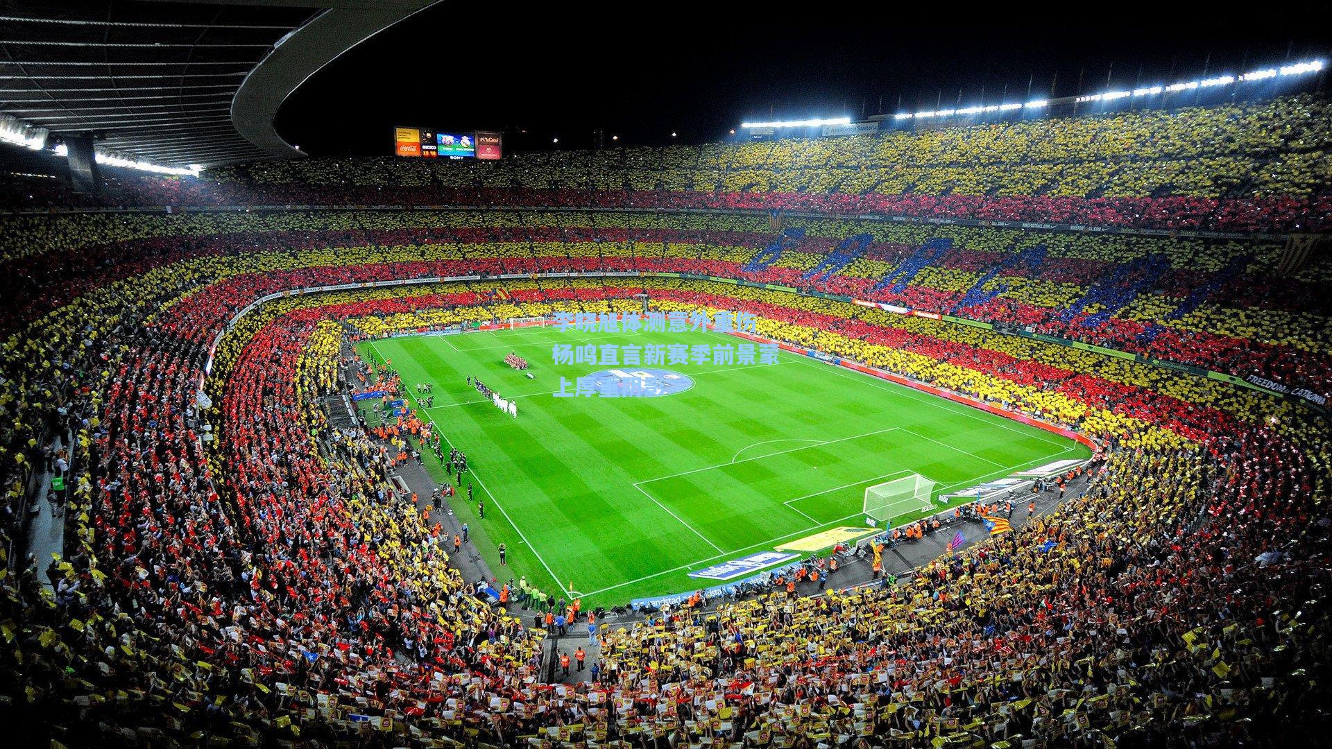 李晓旭体测意外重伤 杨鸣直言新赛季前景蒙上厚重阴影